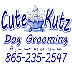 pet grooming